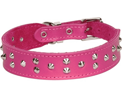 Studded Collar - Hot Pink - Wanneroo Stockfeeders