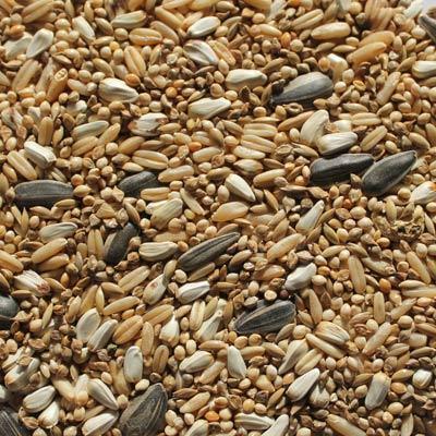 Small Parrot Mix - Wanneroo Stockfeeders