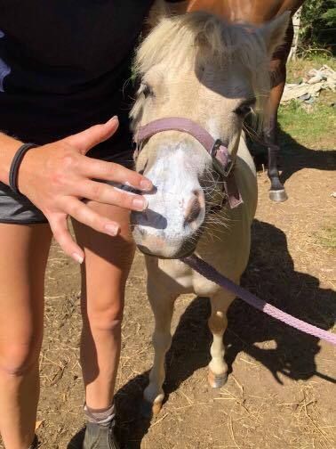 Equine Super Goo Natural Sunblock - Wanneroo Stockfeeders