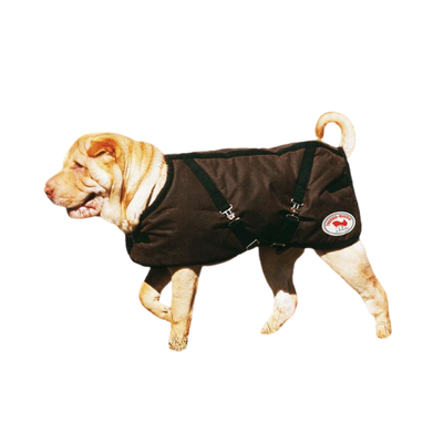 Oil Skin Dog Coat - Wanneroo Stock Feeders