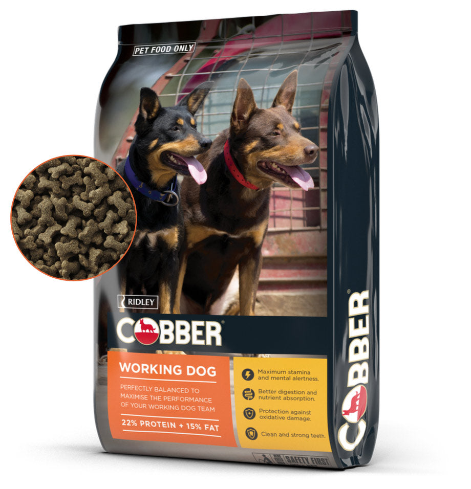 Cobber Working Dog - Wanneroo Stockfeeders