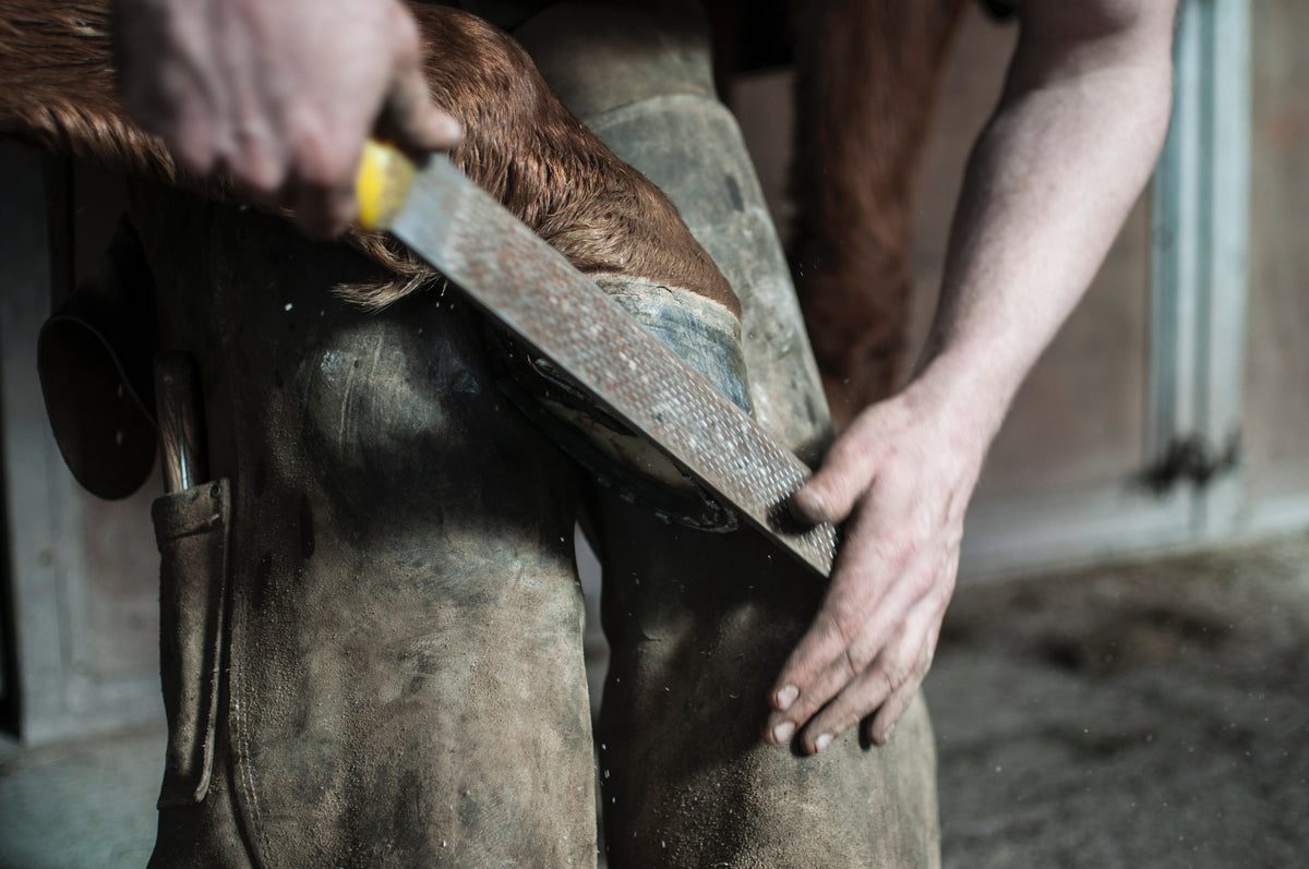 Farrier Tools & Supplements