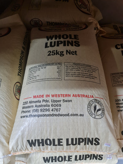 Whole Lupins