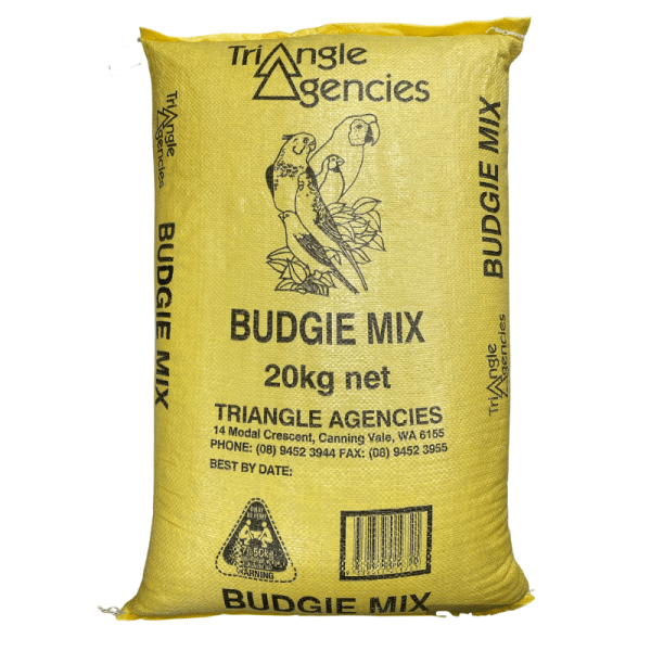 Budgie Mix