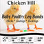 Poultry Leg Rings X Small