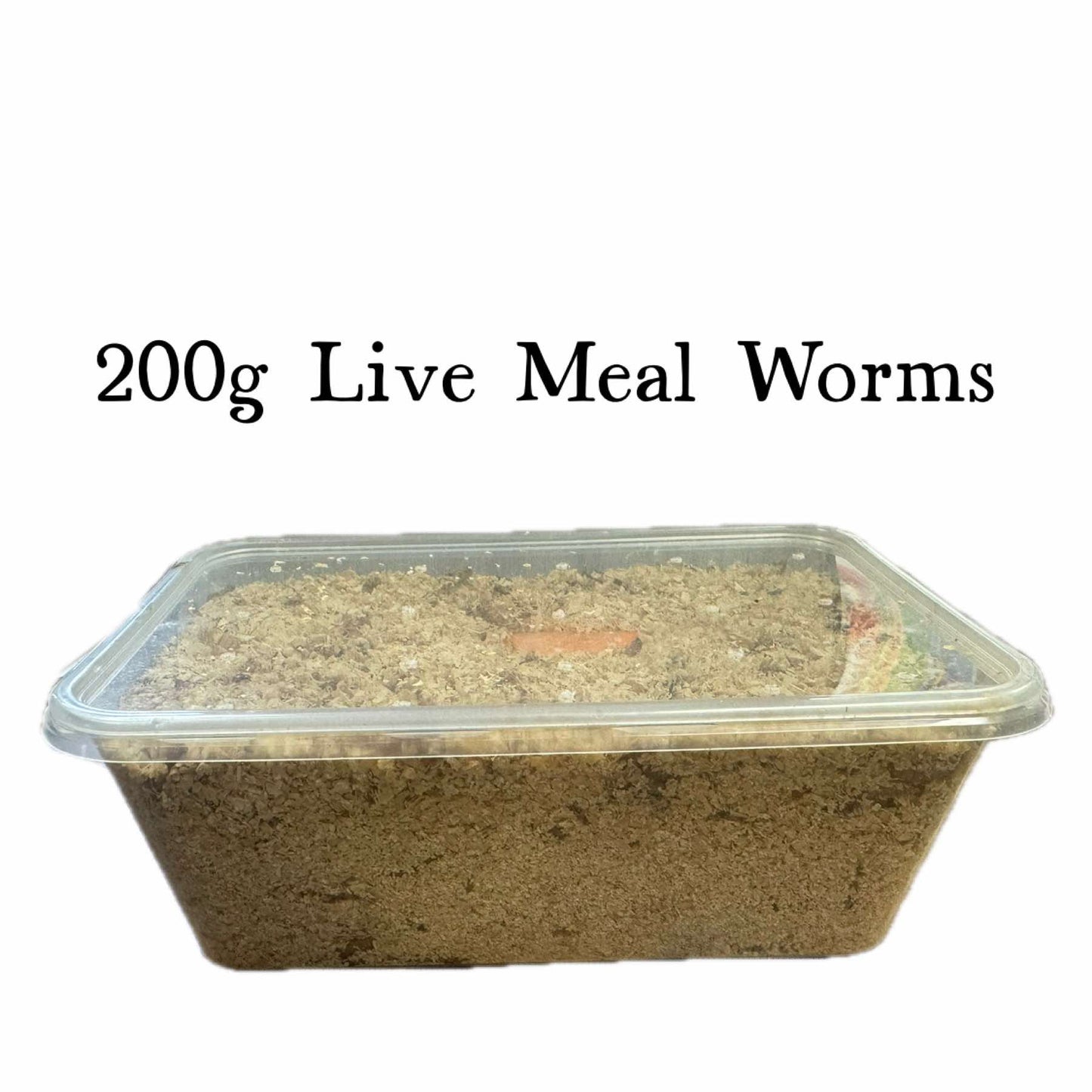 Live Meal Worms