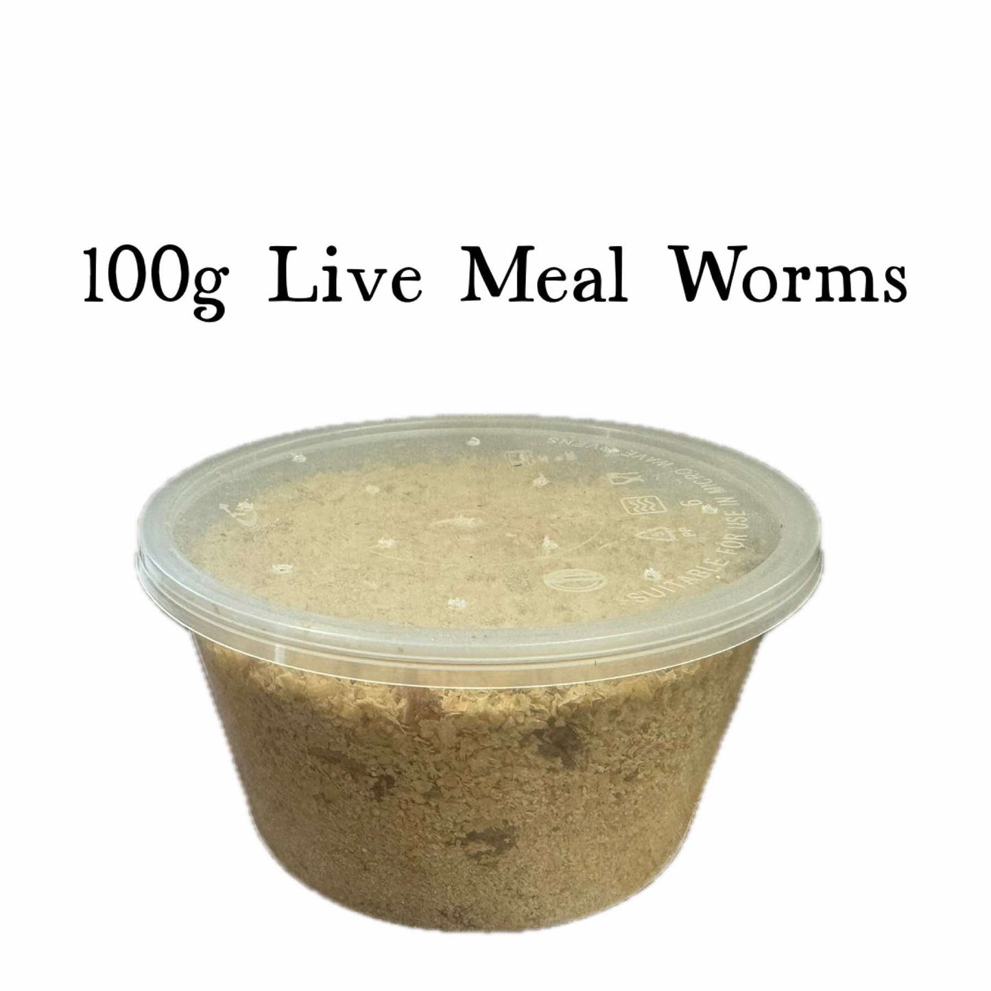 Live Meal Worms