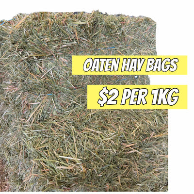 Loose Oaten Hay Bag - Rabbit