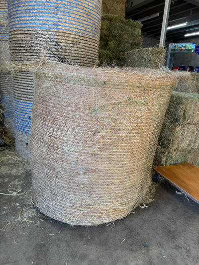 Meadow Hay Roll Harvey