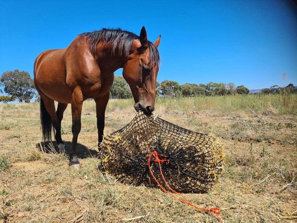 Hay Bale Knotless Hay Net