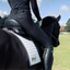 Hybrid Breeches