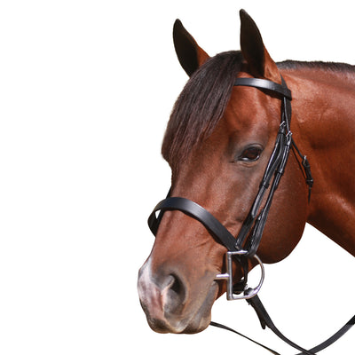 Bridle Plain With Reins