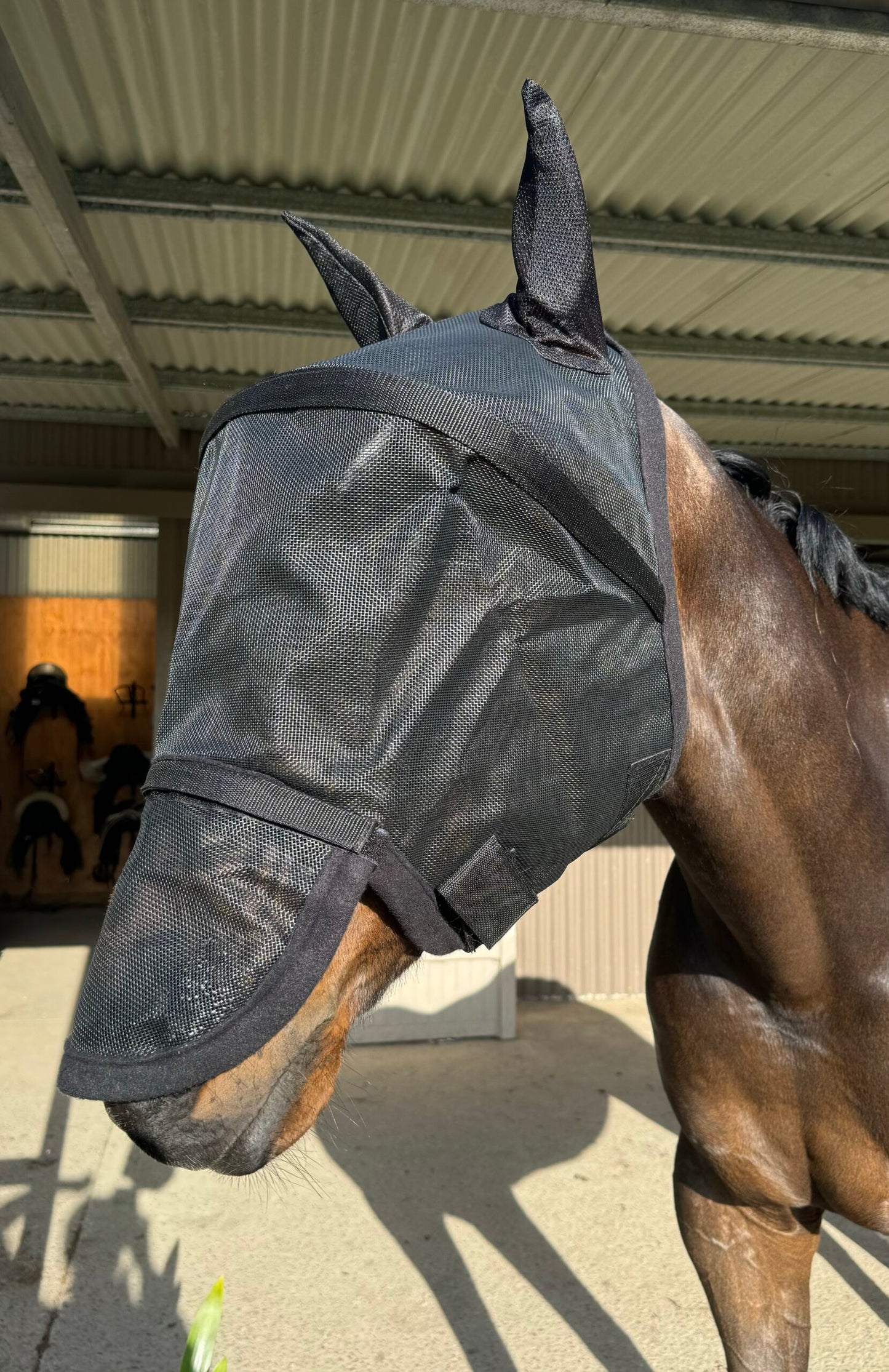 3D Fly Mask