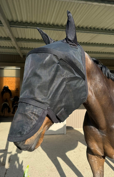 3D Fly Mask