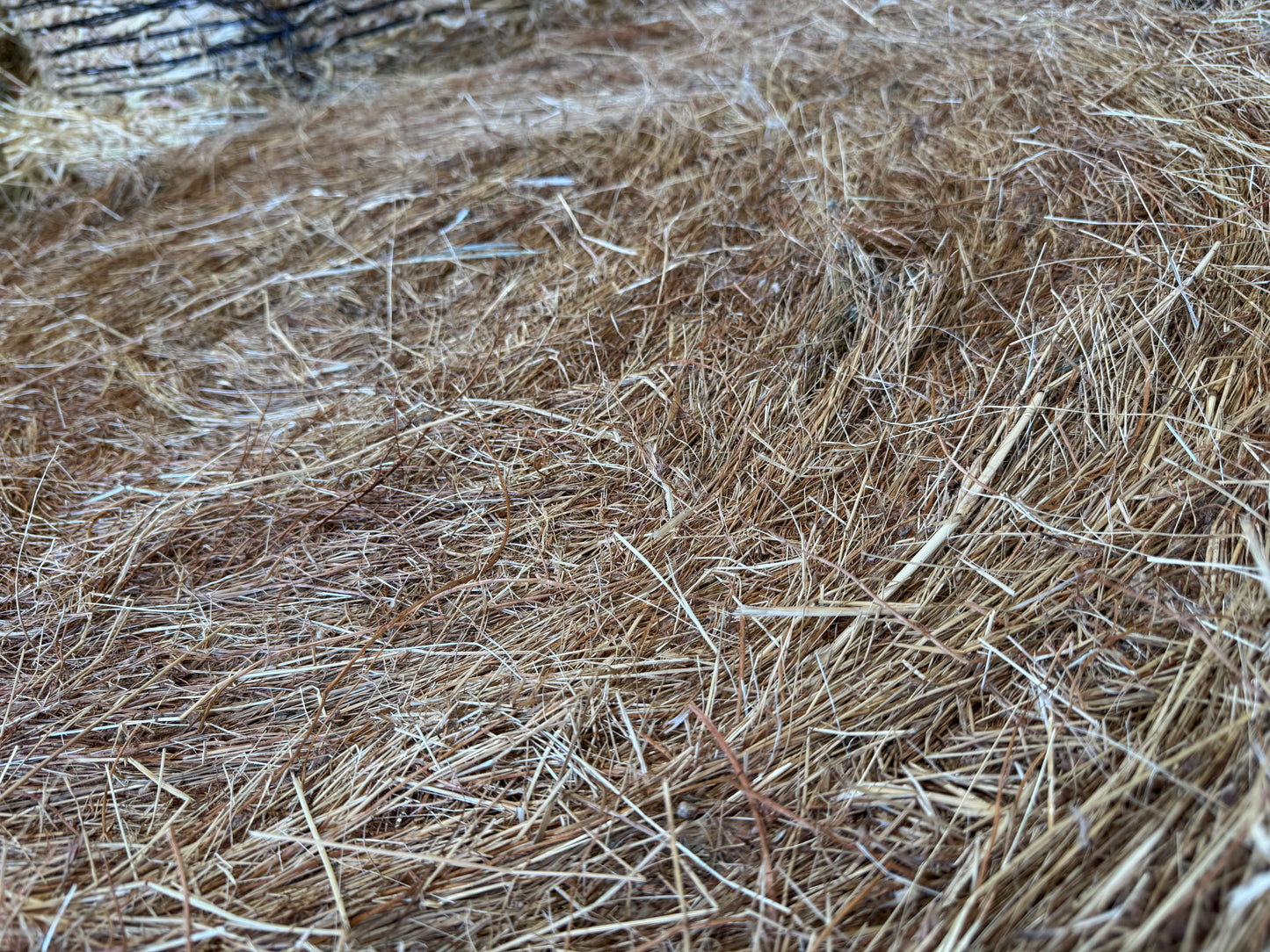 Meadow Hay Roll Harvey