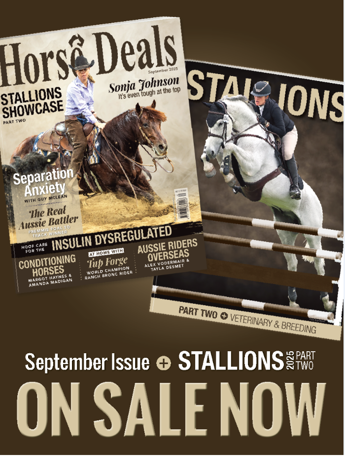 Horse Deals