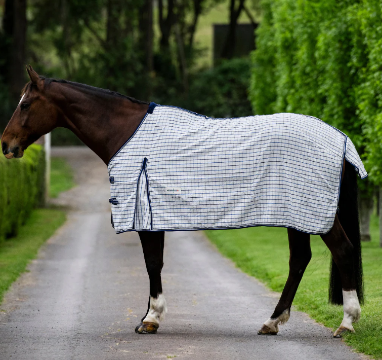 Eureka Summer Ripstop Rug