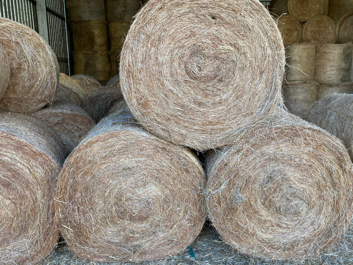 Meadow Hay Roll Harvey