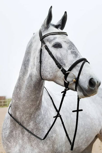 Weston Bridle