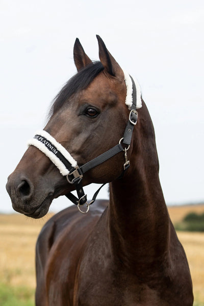Howard Fleece Lined Halter