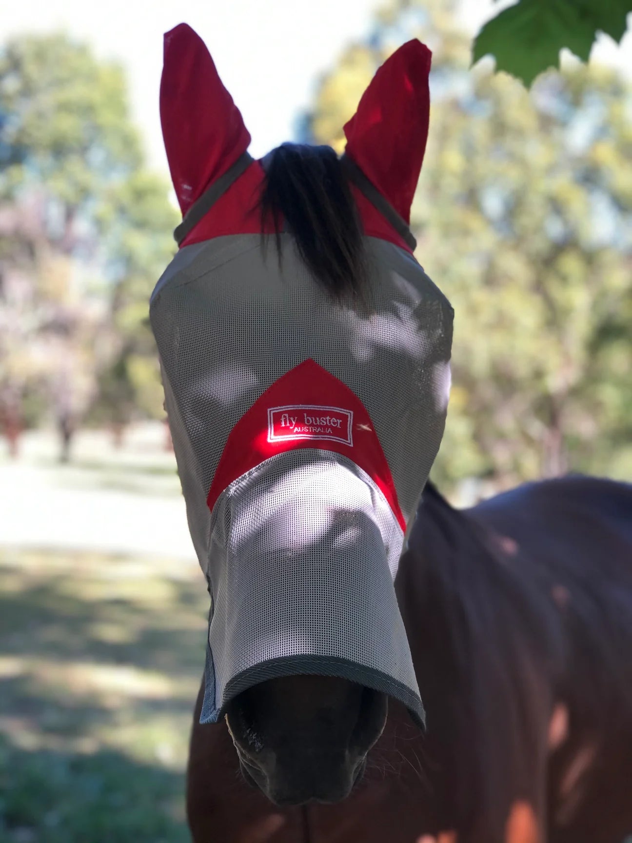 Fly Buster Fly Mask