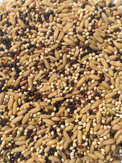 Canary Mix
