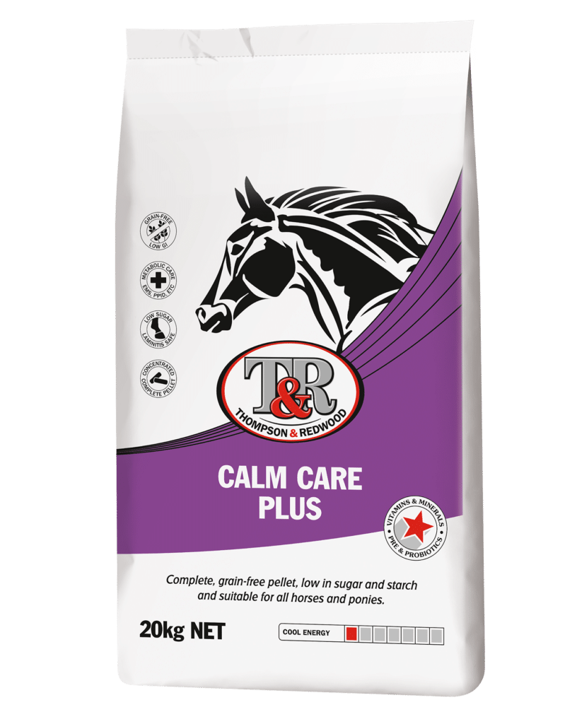 Calm Care Plus