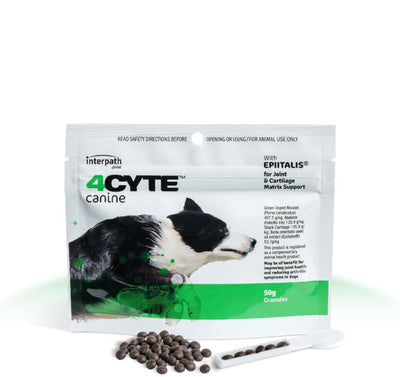 4Cyte Canine Sachet 50gm