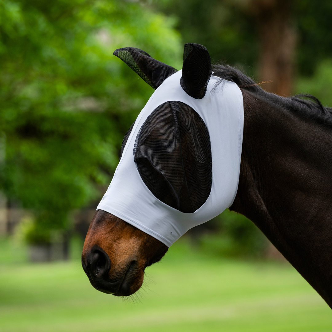 Stretch Bug Eye Fly Mask | Wanneroo Stock Feeders