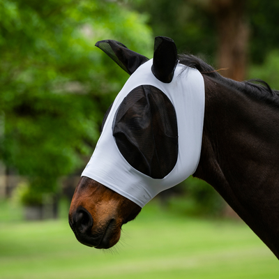 Stretch Bug Eye Fly Mask