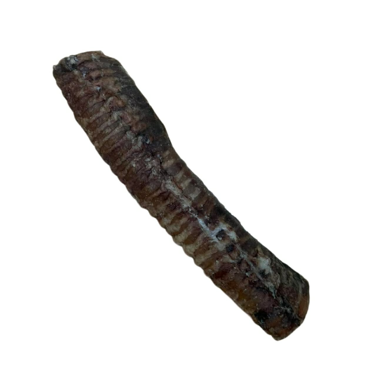 Beef Trachea Dehydrated