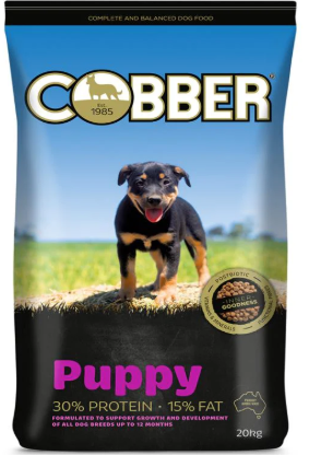 Cobber Puppy
