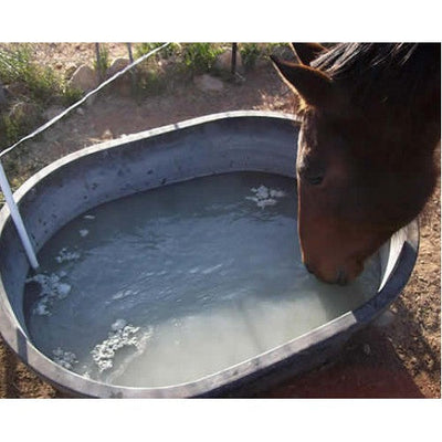 Bentonite Clay