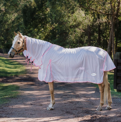 Dakota Fly Mesh Combo