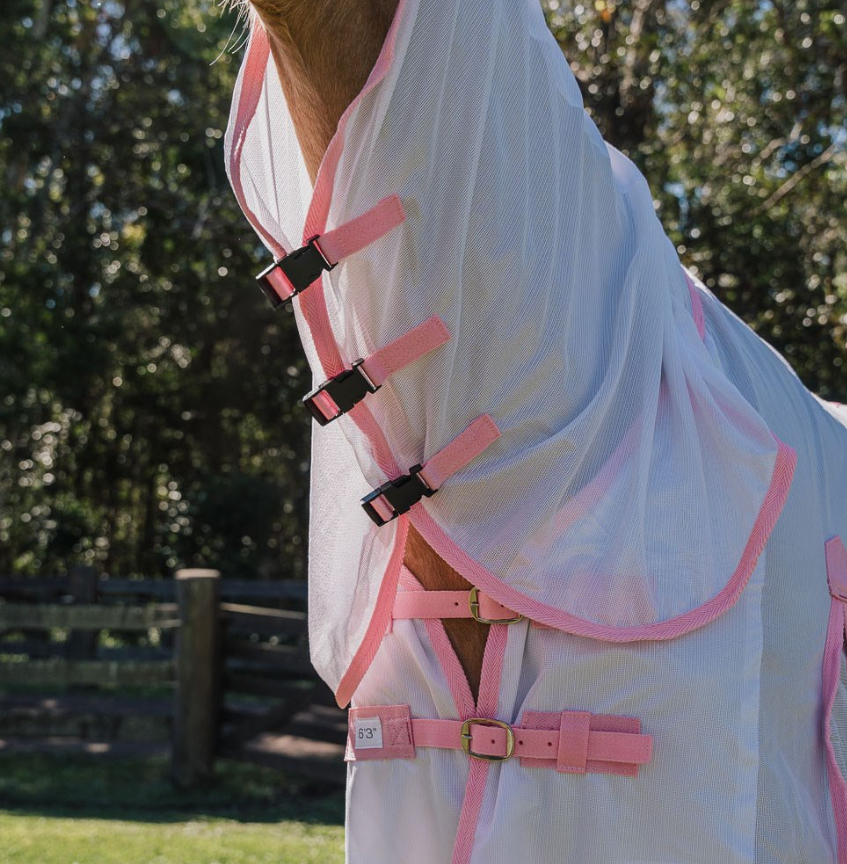 Dakota Fly Mesh Combo