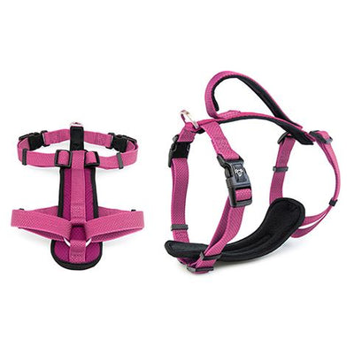 Premium Sports Harness