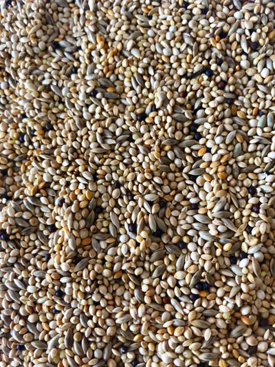 Finch Mix