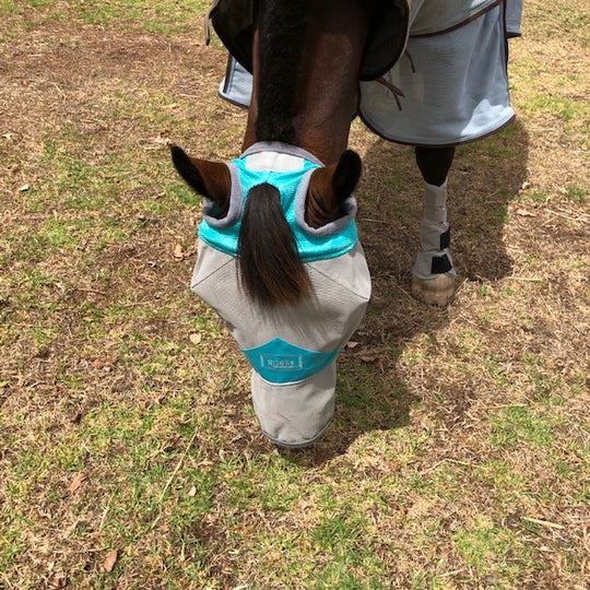 Fly Buster Fly Mask