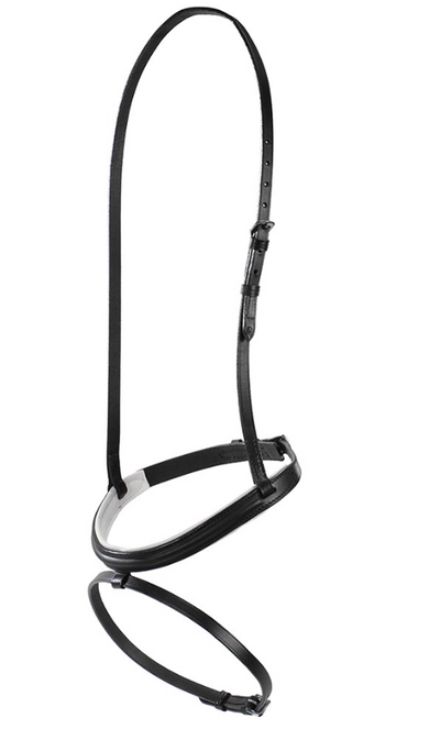 Hanoverian Noseband