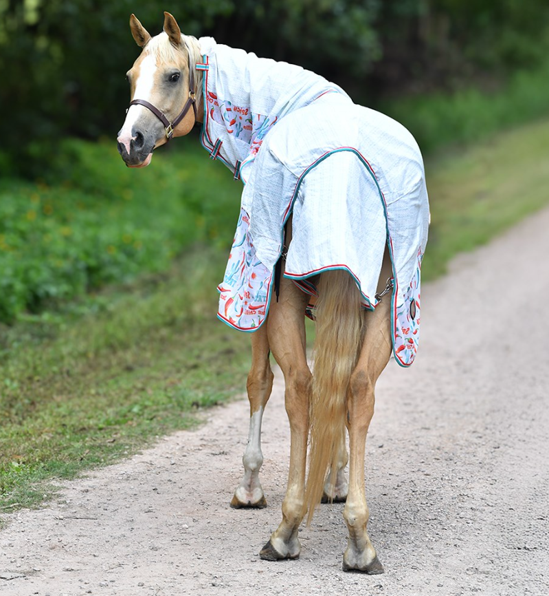 Tear-Stop Cotton Mesh Combo