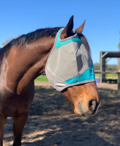 Fly Buster Fly Mask