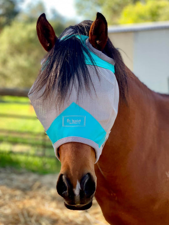 Fly Buster Fly Mask