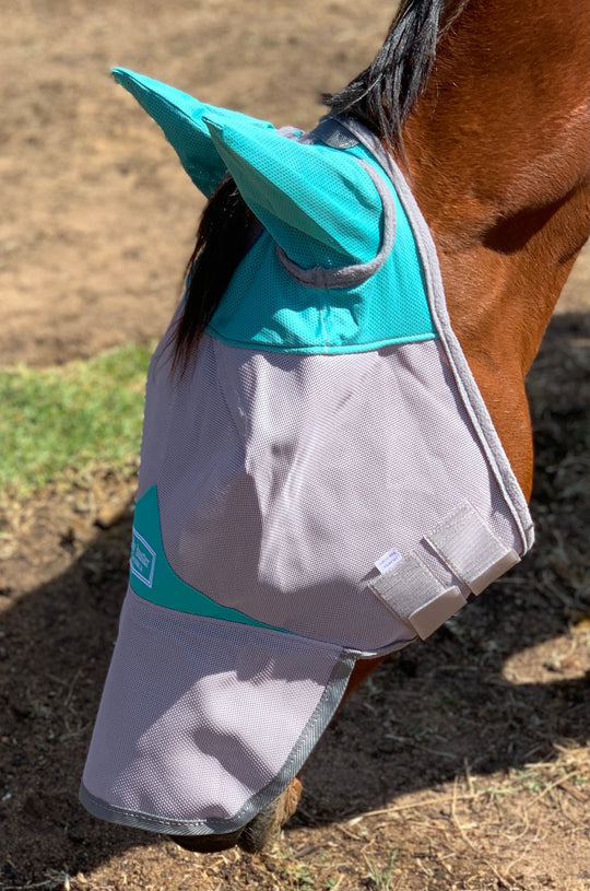 Fly Buster Fly Mask