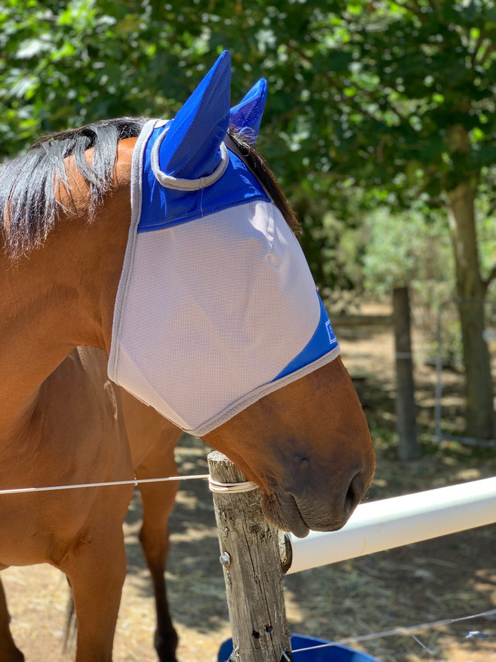 Fly Buster Fly Mask