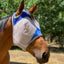 Fly Buster Fly Mask