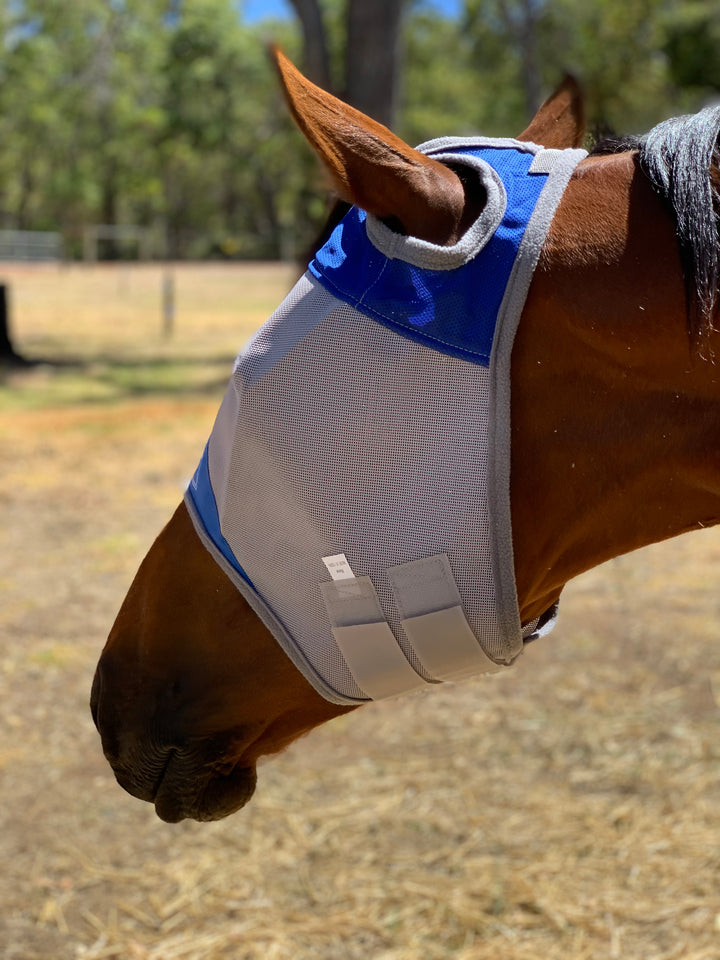 Fly Buster Fly Mask