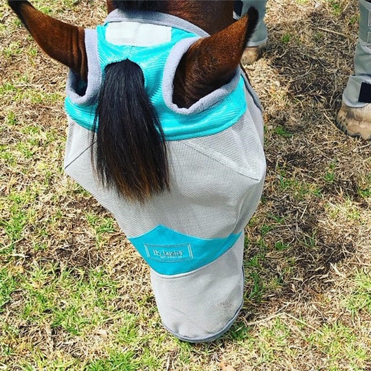 Fly Buster Fly Mask