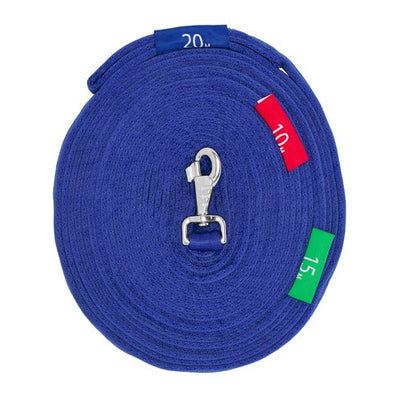 Lunge Lead with Circle Markers Blue