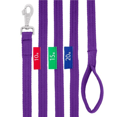 Lunge Lead with Circle Markers Purple