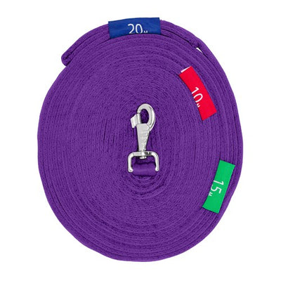 Lunge Lead with Circle Markers Purple